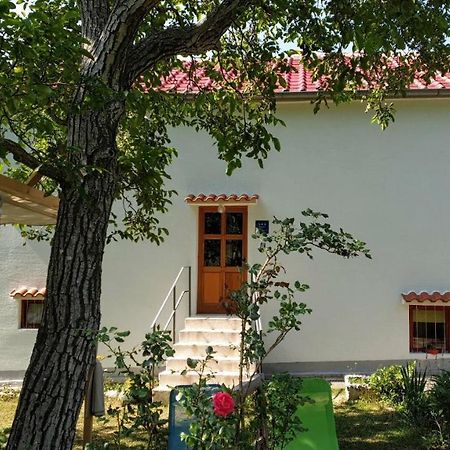 Apartamento Flora Drivenik Exterior foto
